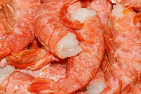 Raw prawns 스톡 사진