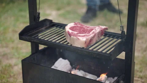 Raw premium fat beef steak grilling on bbq grid on burning fire, preparation Stock-Footage 223124292