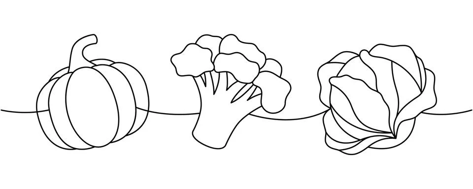 Raw pumpkin, broccoli, cabbage one line continuous drawing. Fresh organic Stock Illustration