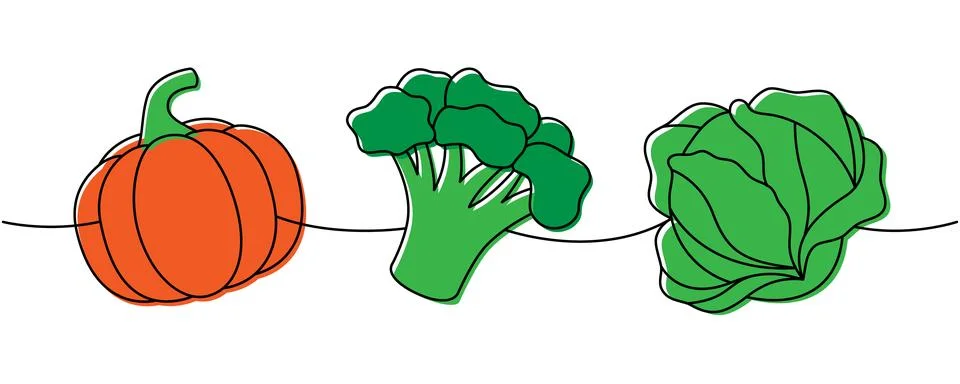 Raw pumpkin, broccoli, cabbage one line colored continuous drawing. Fresh Stock Illustration