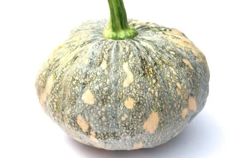 Raw pumpkin 스톡 사진