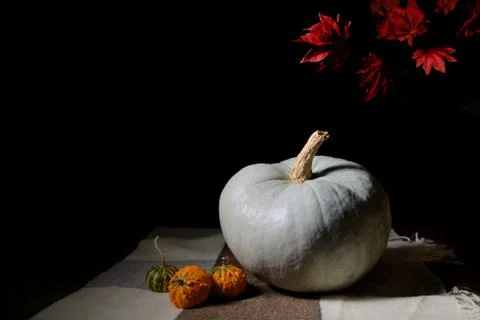 Raw pumpkin on rustic carpet Stock Photos