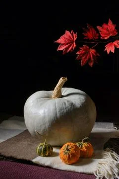 Raw pumpkin on rustic carpet Stock Photos