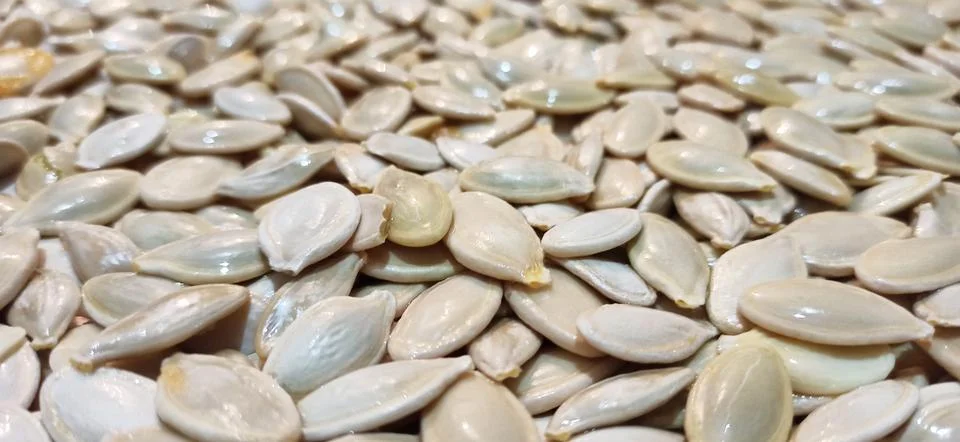 Raw pumpkin seeds texture close up background after harvest Stock Photos