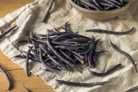 Raw Purple Organic String Beans Stock Photos