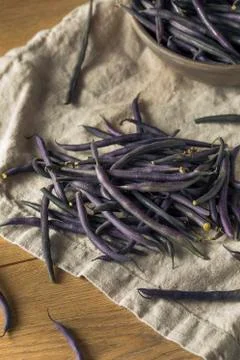 Raw Purple Organic String Beans Stock Photos