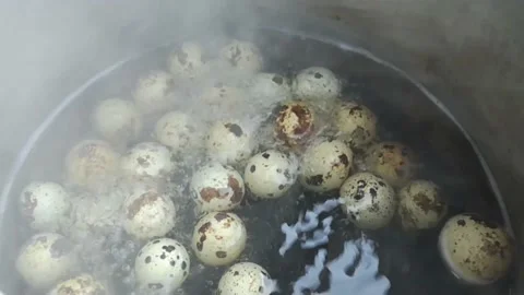 Raw quail eggs being boiled in a pot of boiling water. Stock Footage 238810749