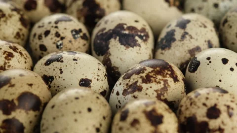 Raw quail eggs close up rotating Stock Footage 138135482