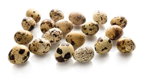 Raw quail eggs closeup Stock Photos