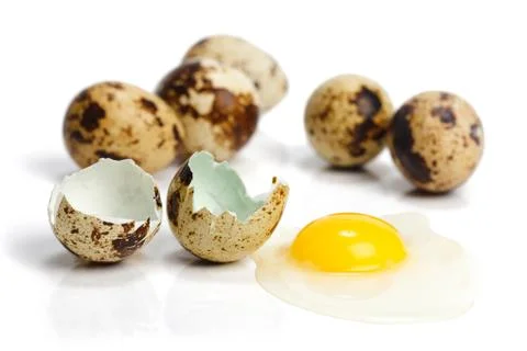 Raw quail eggs Stock Photos