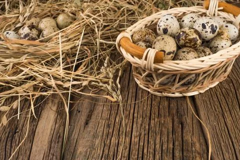 Raw quail eggs Stock Photos