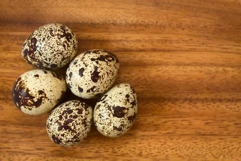 Raw Quail Eggs Stock Photos
