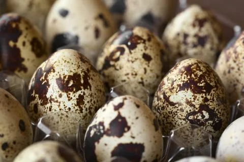 Raw Quail Eggs Stock Photos