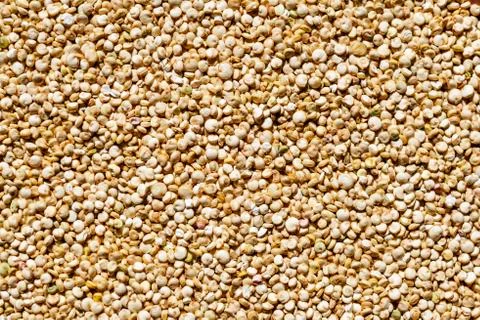 Raw quinoa grains Stock Photos
