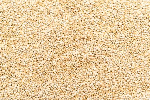 Raw quinoa isolated as background Stock Photos