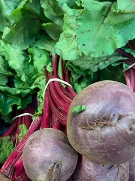 Raw radishes Stock Photos