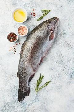 Raw rainbow trout light background Stock Photos