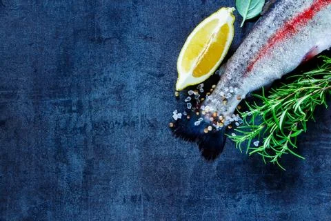 Raw rainbow trout Stock Photos