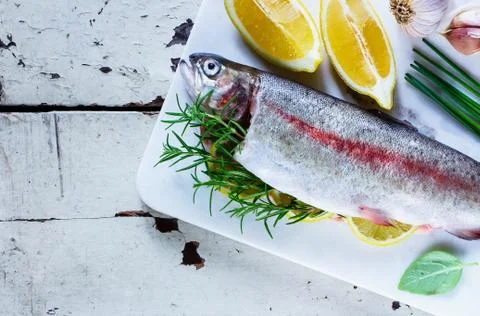 Raw rainbow trout Stock Photos