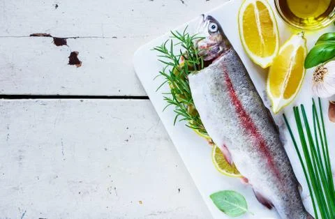Raw rainbow trout Stock Photos