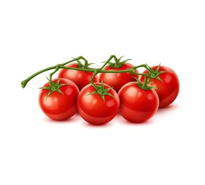 Raw realistic red ripe tomato cherry cluster, 3d Stock Illustration