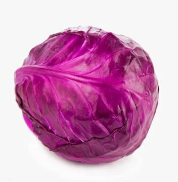 Raw red cabbage on a white background Stock Photos