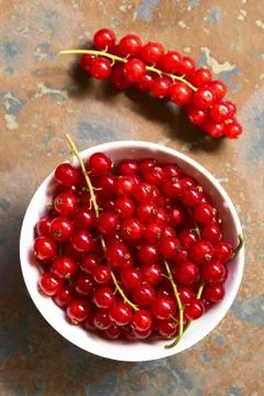 Raw Red Currants Stock Photos