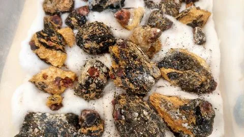 Raw Red Garnet Crystals Embedded In Natural Dark Matrix Rock Stock Photos