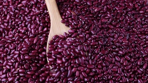 Raw red kidney bean seed grains separated with bamboo spoon Stock Footage 252478717
