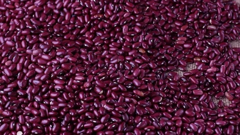 Raw red kidney bean seed grains separated with bamboo spoon Stock Footage 252478727