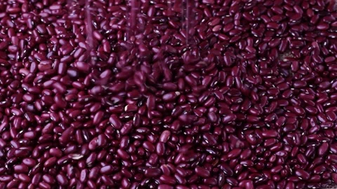 Raw red kidney bean seed grains placed on bean background Stock Footage 252478748