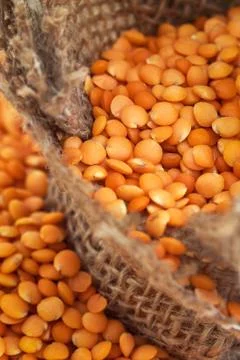 Raw red lentils Stock Photos