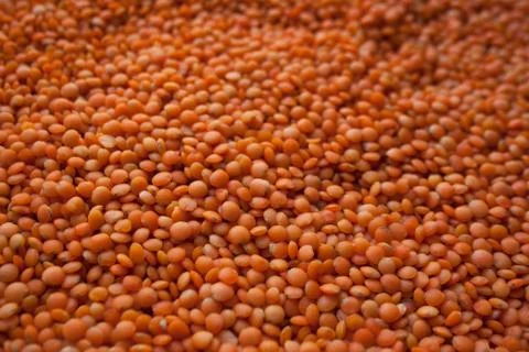 Raw red lentils texture background Stock Photos