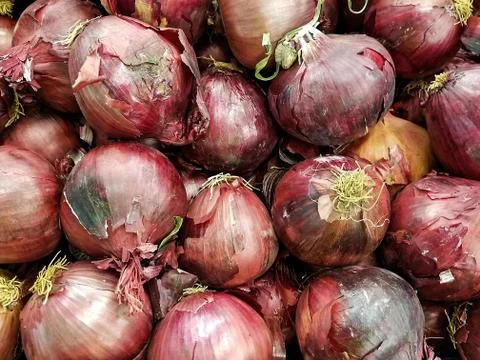 Raw red onions Stock Photos