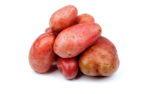 Raw Red Potatoes Stock Photos