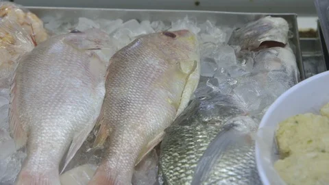 Raw red snapper fish on ice Stock Footage 104881808