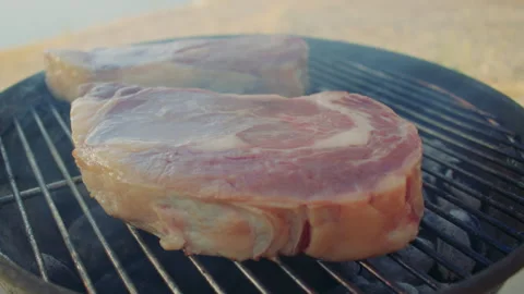 Raw ribeye steak set on barbeque grilling grate, slowly roasting. Barbecue Stock Footage 285469183