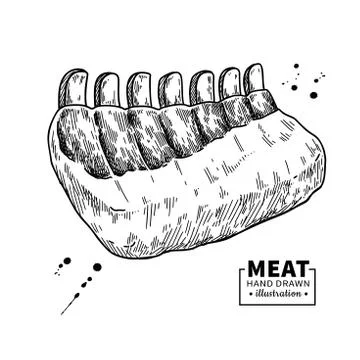 Raw ribs vector drawing. Beef, pork or lamb meat hand drawn sketch Stock Illustration