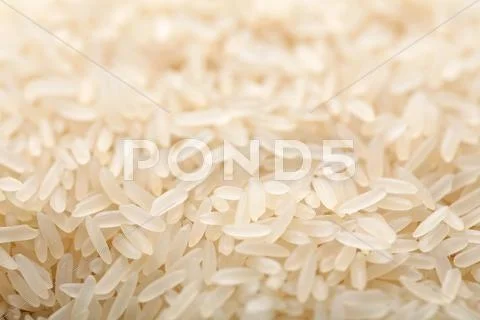 Raw rice background Stock Photos