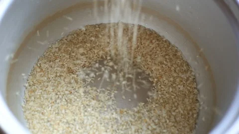 Raw rice fall Video stock 129532099