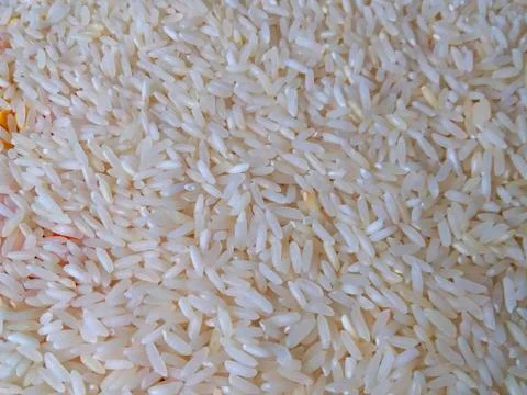 The raw rice grain Stock Photos