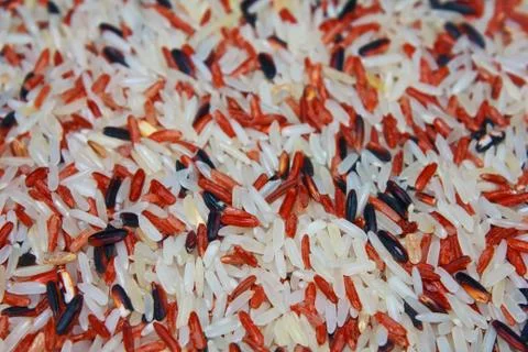 Raw rice Stock Photos