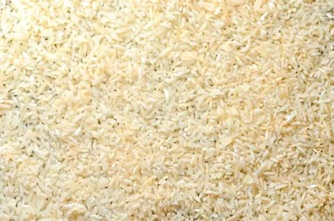 Raw rice 스톡 사진
