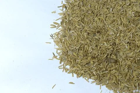 Raw rice Stock Photos