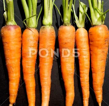 Raw Ripe Carrots