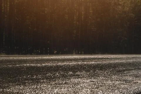 Raw road during the rain on a summer day Foto stock