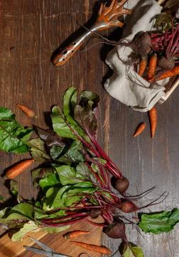Raw root vegetables, beets with tops and carrots on a dark wooden background Stock Photos