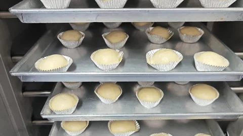 Raw round bread dough in foil cups on bakery trays. Видео 344035352