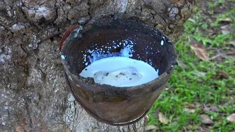 Raw rubber 库存影片 154117491
