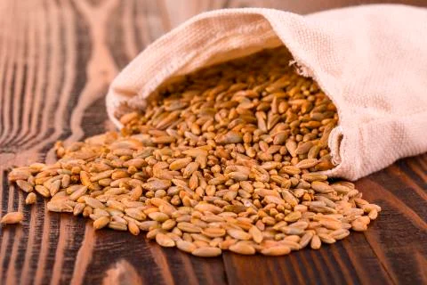 Raw rye on wooden surface. Stock Photos